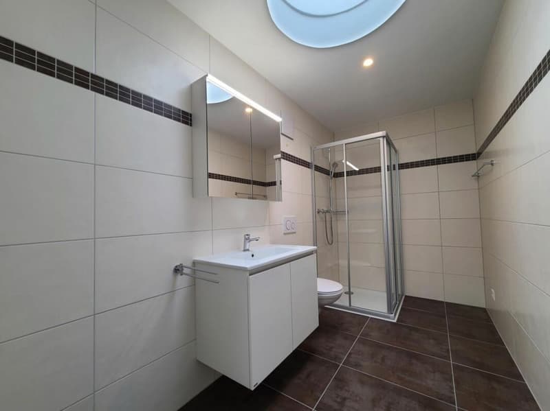 Farvagny - Appartement de 3.5 pièces en attique (8)