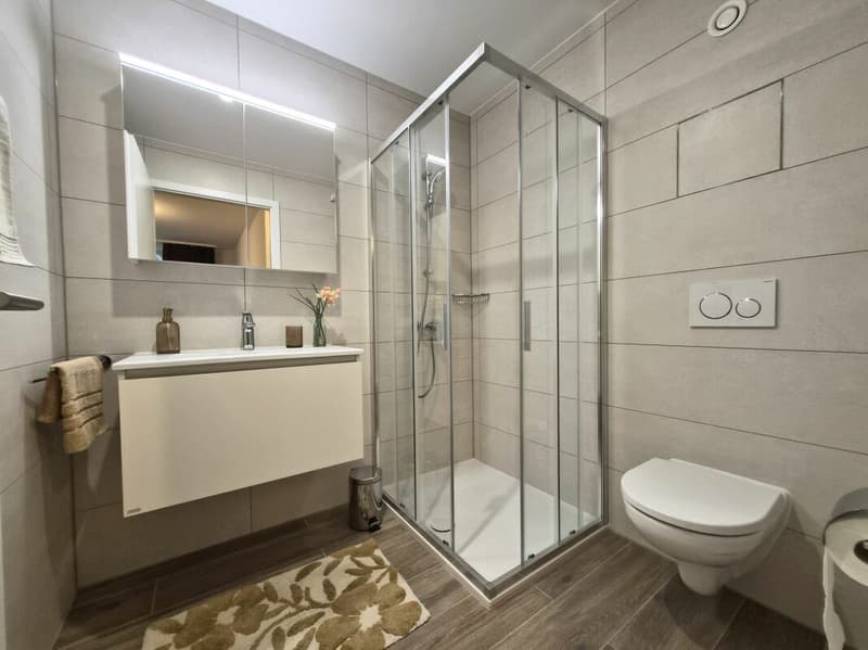 Prairie 4 - Appartement 4.5 pièces au 2ème étage (10)