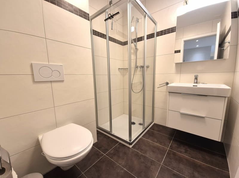 Grandcour - Appartement meublé 2.5 pièces au rez-de-chaussée (7)
