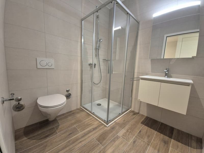 Berges 3 - Appartement 4.5 pièces au 1er étage (9)