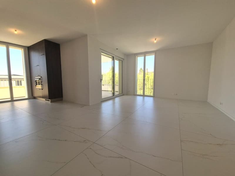 Prairie 4 - Appartement 4.5 pièces en attique (2)