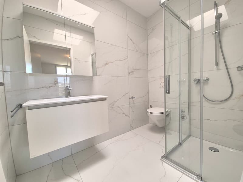 Prairie 4 - Appartement 4.5 pièces en attique (8)