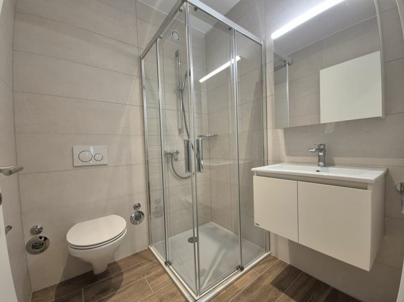 Berges 3 - Appartement 4.5 pièces au 3ème étage (7)