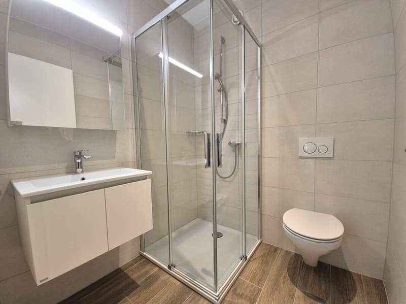 Prairie 4 - Appartement 4.5 pièces au 3ème étage. (9)