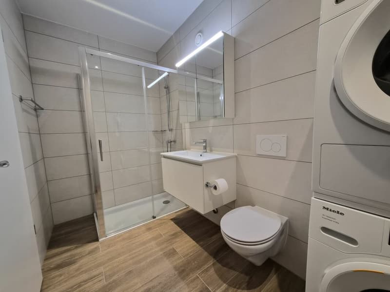 Prairie 4 - Appartement 5.5 pièces en attique (8)