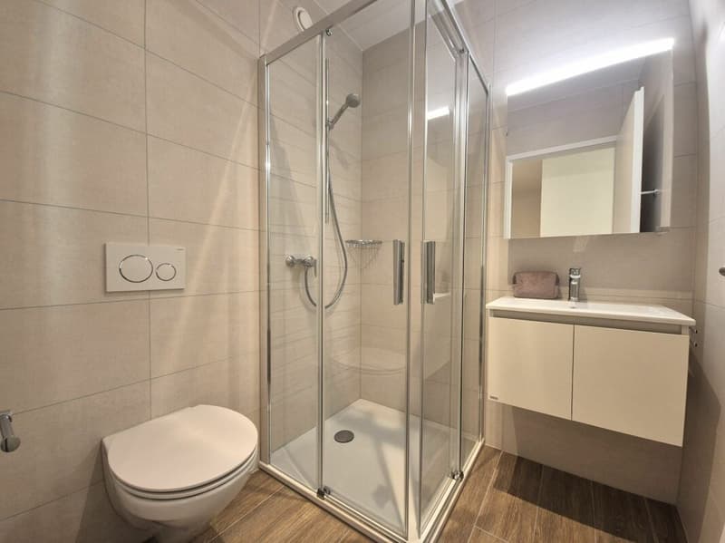 Prairie 4 - Appartement 3.5 pièces au 3ème étage (8)