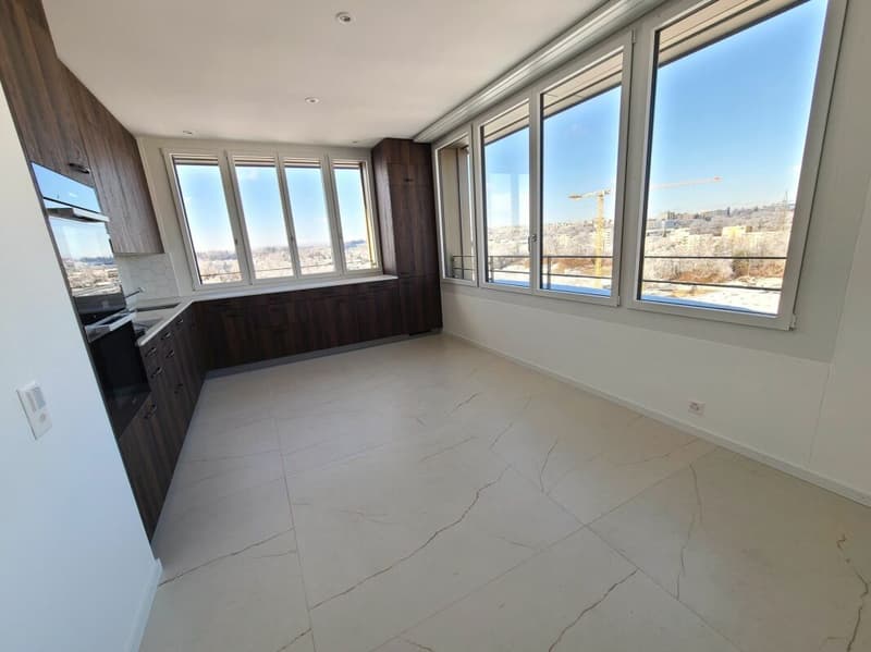 Plugin 4 - Appartement 4.5 pièces au 13ème étage (2)