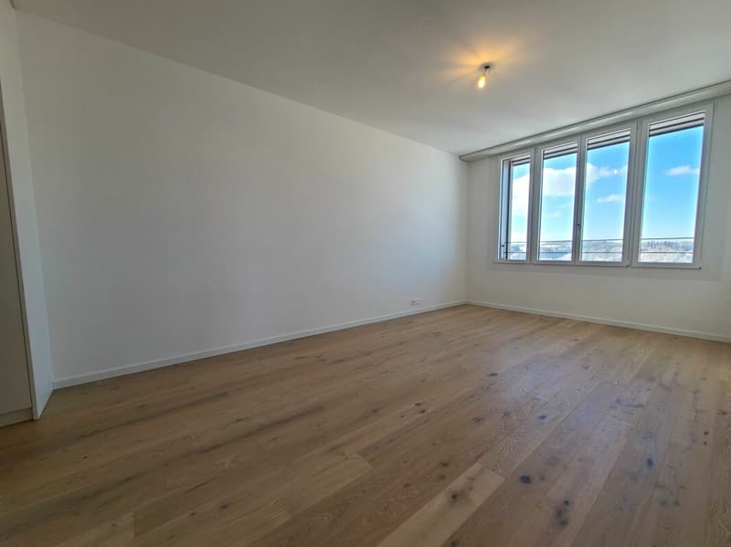 Plugin 4 - Appartement 4.5 pièces au 13ème étage (10)