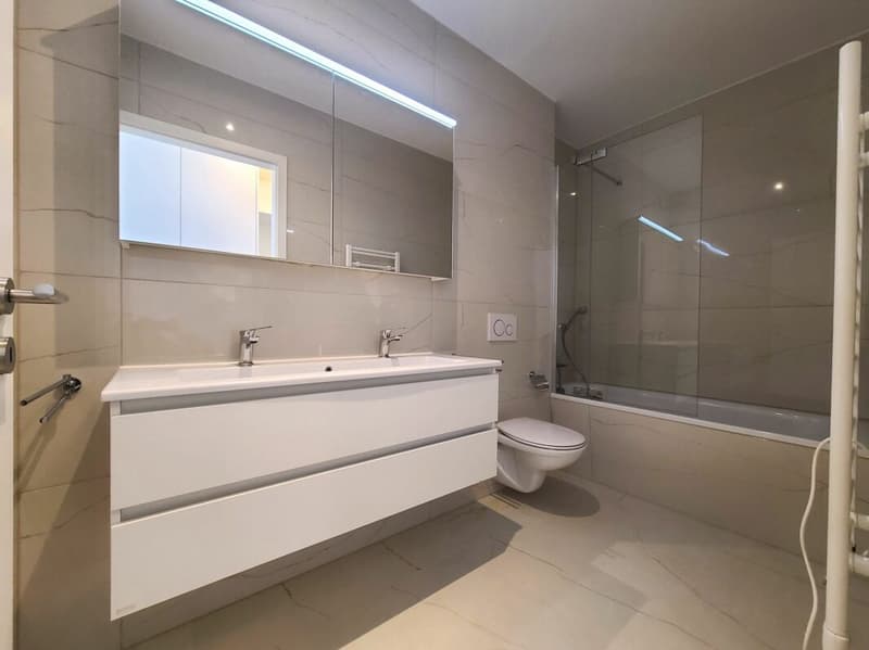 Plugin 4 - Appartement 4.5 pièces au 13ème étage (9)