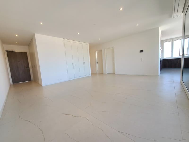 Plugin 4 - Appartement 4.5 pièces au 13ème étage (4)