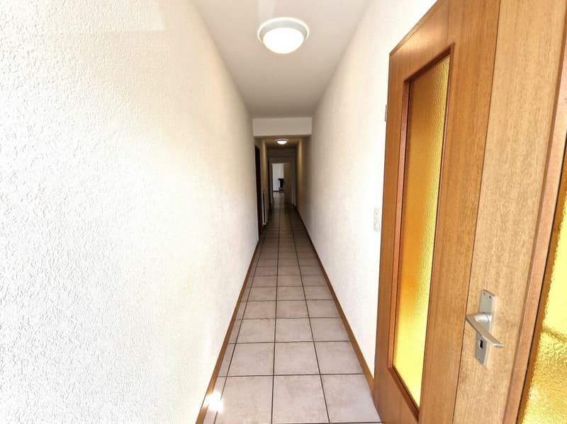 Spacieux appartement de 5.5 pièces (3)