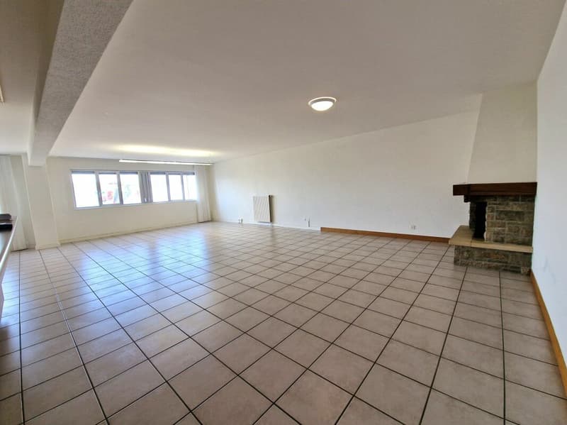 Spacieux appartement de 5.5 pièces (2)