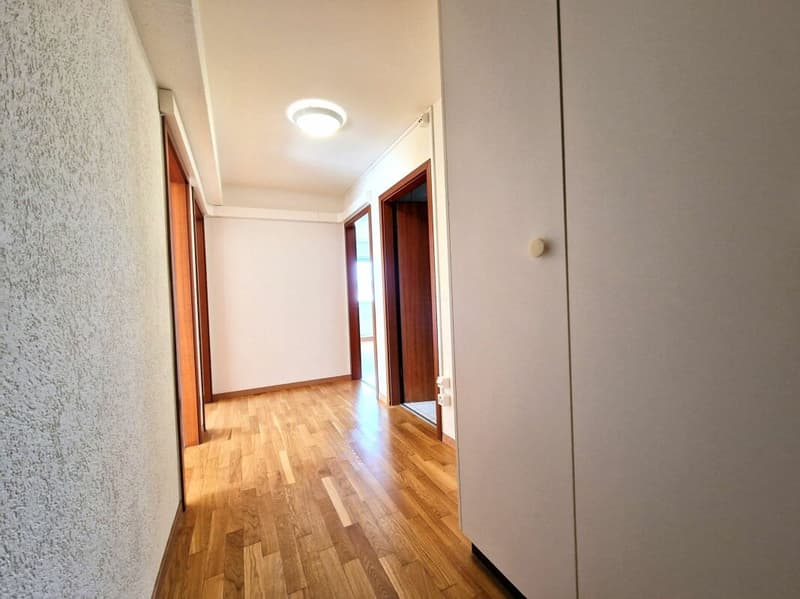 Spacieux appartement de 5.5 pièces (4)