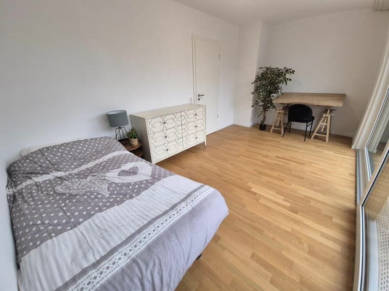 Plugin 4 - Appartement 3.5 pièces en duplex (11)