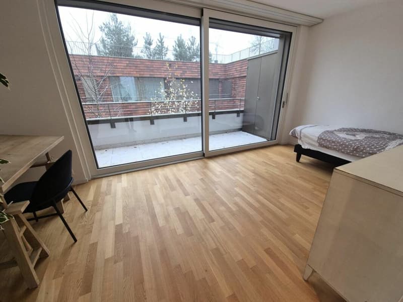 Plugin 4 - Appartement 3.5 pièces en duplex (9)