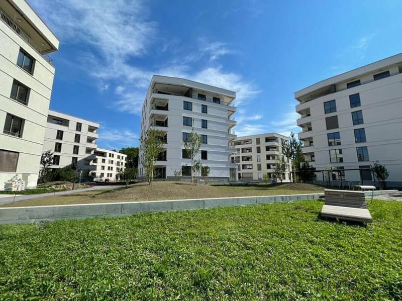Moulins G - Appartement 3.5 pièces au 4ème étage (1)