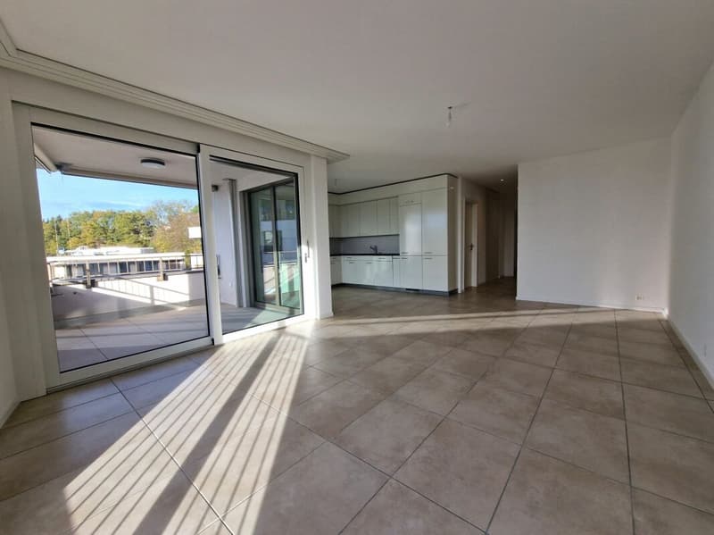 Moulins G - Appartement 3.5 pièces au 4ème étage (2)