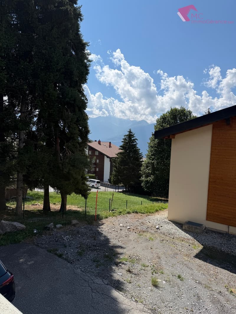 Ovronnaz - Appartement 2,5 pces, terrasse, tranquillité et fraîcheur (4)