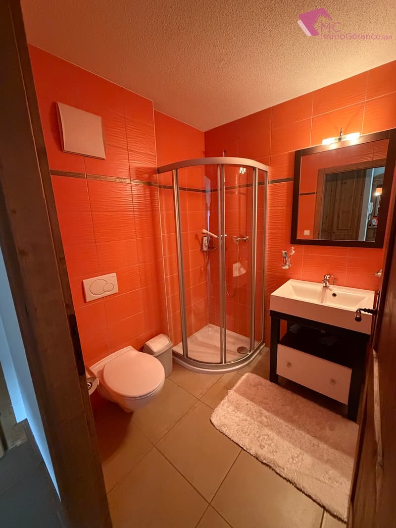 Ovronnaz - Appartement de 2.5 pces avec cachet (10)