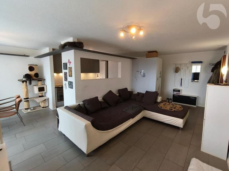 Fribourg - appartement 4,5 pces 115 m2 rénové 2015 (1)