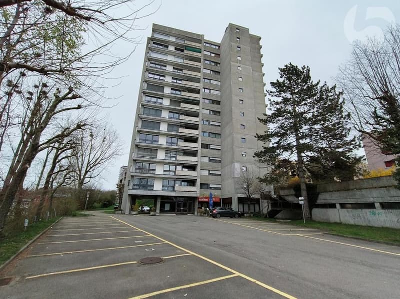 Fribourg - appartement 4,5 pces 115 m2 rénové 2015 (13)