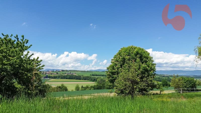 Un environnement calme et proche de la nature, zone agricole en-dessous des villas
