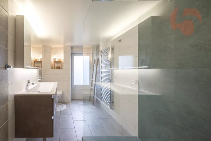 Magnifique maison villageoise entièrement rénovée (13)