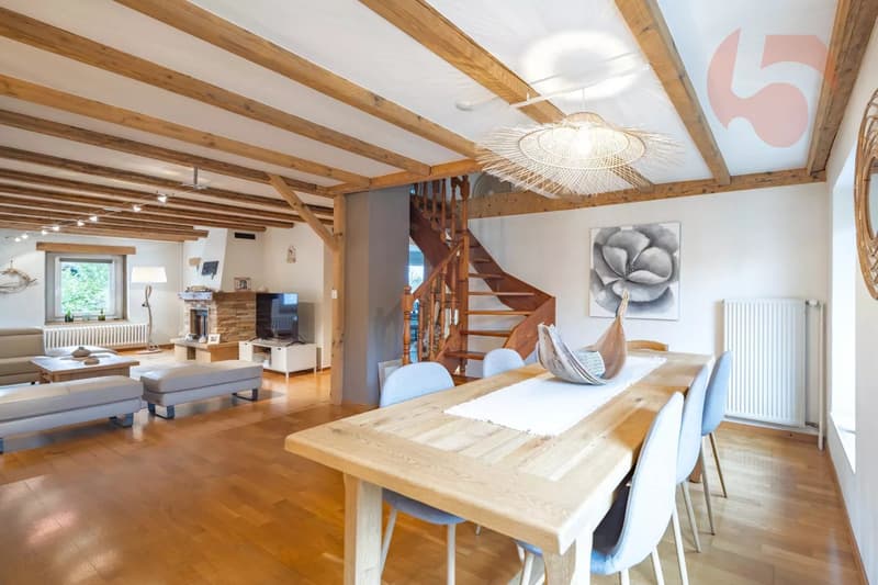 Magnifique maison villageoise entièrement rénovée (7)