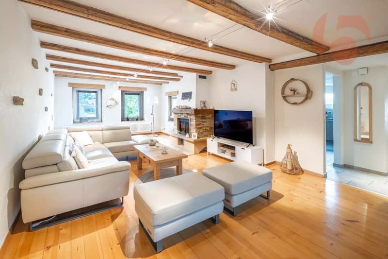 Magnifique maison villageoise entièrement rénovée (5)
