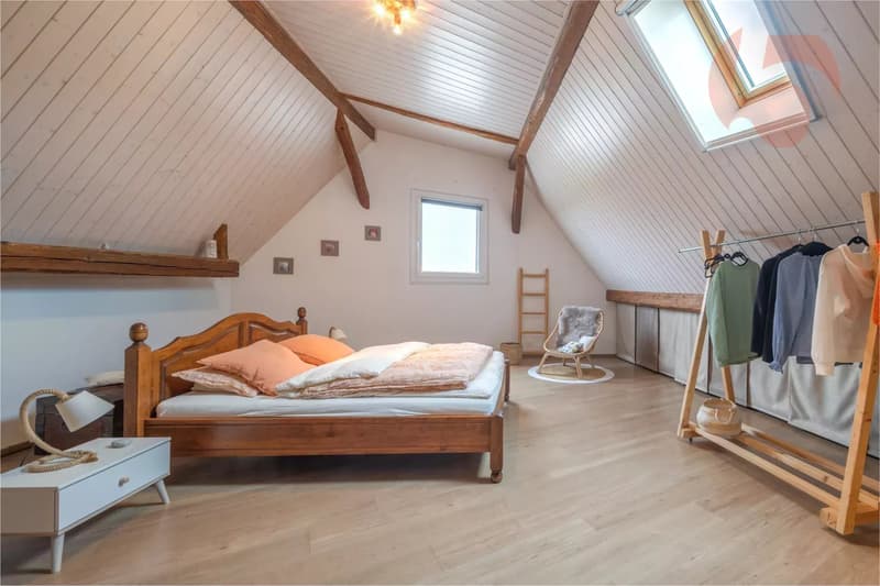 Magnifique maison villageoise entièrement rénovée (9)