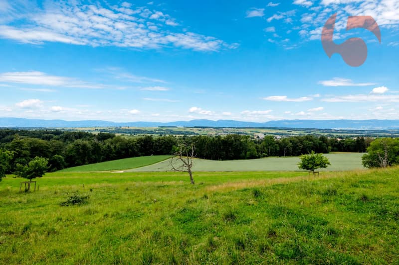 Magnifique villa de 4.5 pièces avec vue panoramique sur le Jura et la campagne environnante (3)