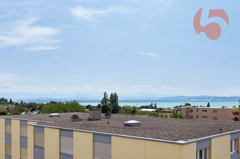 Bel appartement traversant de 4,5 pièces (13)