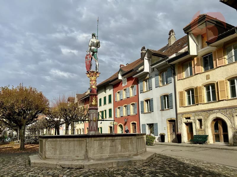 Attique d'exception avec accès par ascenseur privé et terrasse de 70 m2 (13)
