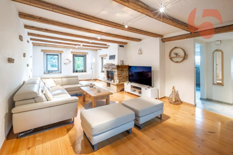Magnifique maison villageoise entièrement rénovée (4)