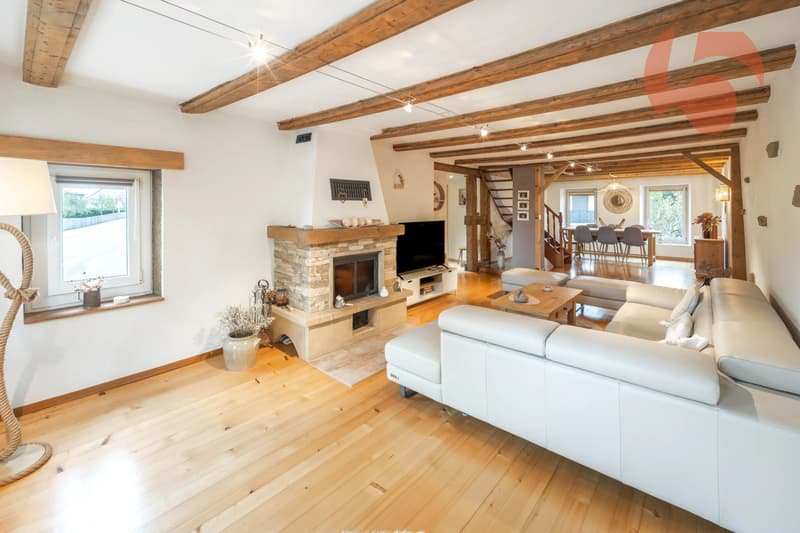 Belle maison villageoise rénovée avec terrasses et jardin (5)