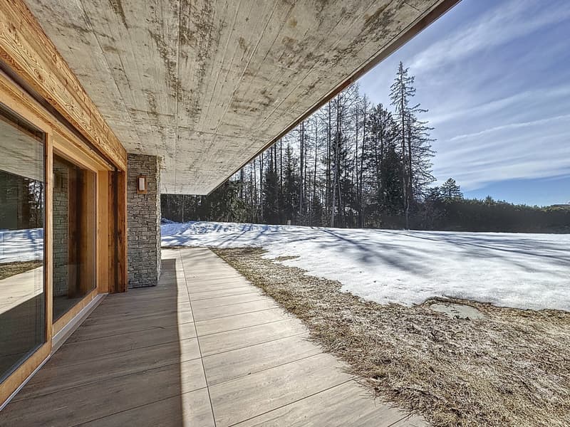 Appartement dans Chalet Résidentiel Minergie Construit en 2022 (3)