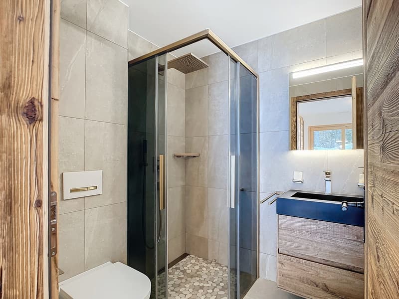 Appartement dans Chalet Résidentiel Minergie Construit en 2022 (10)