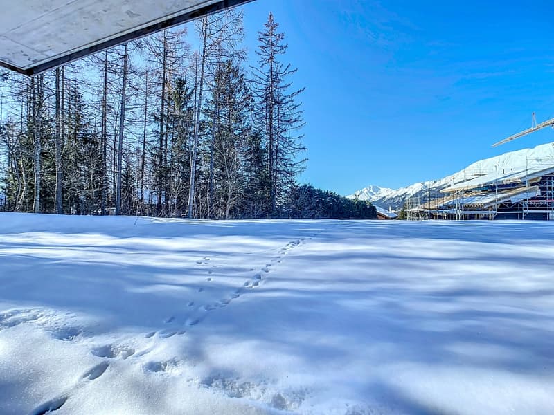 Appartement dans Chalet Résidentiel Minergie Construit en 2022 (5)