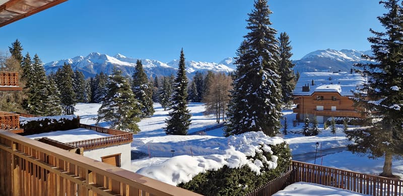Appartement d'exception remis à neuf (2)