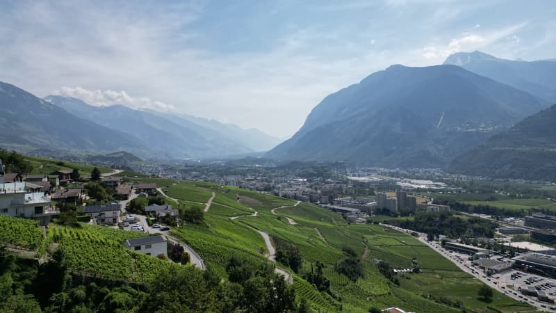 Vue depuis les appartements