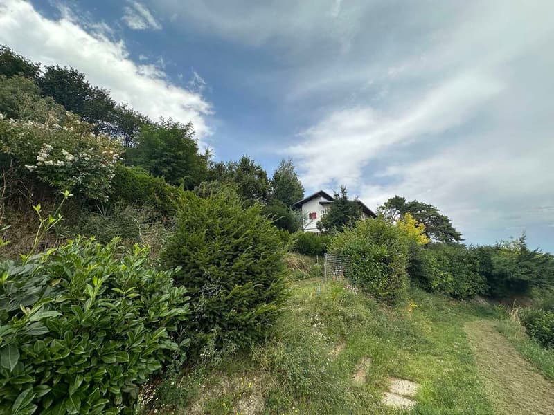 Villa Spacieuse sur Parcelle de 10'000 m² à Chermignon-d'en-Bas (3)