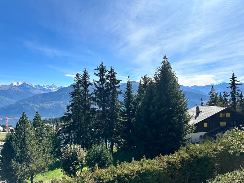 Superbe Appartement Rénové Proche du Centre (7)