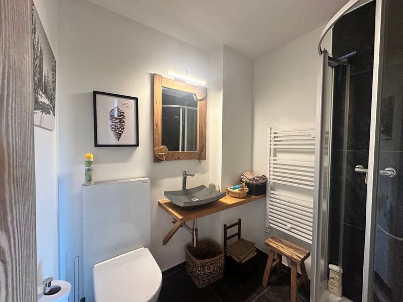 Superbe Appartement Rénové Proche du Centre (9)