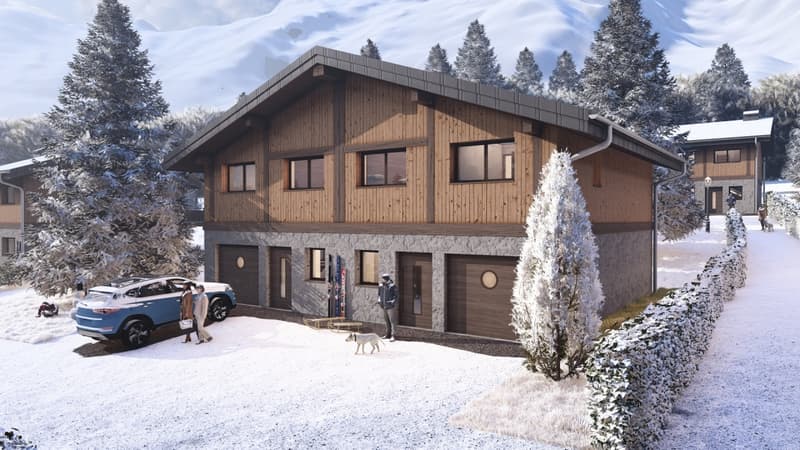 DEMI-CHALET AVEC 3 CHAMBRES, TERRASSE ET JARDIN (1)