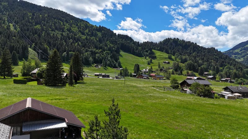 LES DIABLERETS - COQUET APPARTEMENT DE 2,5 PIECES AUX COMBLES (13)