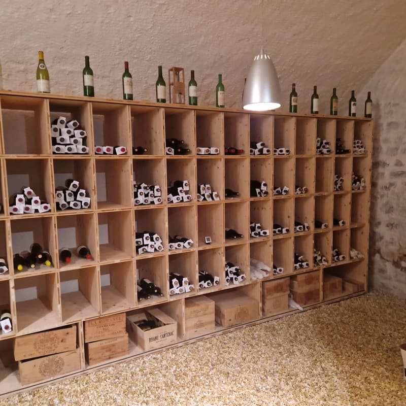La Tour-de-Peilz - rue du Temple 1 - magnifique villa de 8.5 pièces (5)