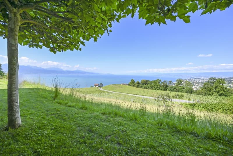 LUTRY - UNIQUE ! SOMPTUEUSE VILLA  AU COEUR DES VIGNES (4)