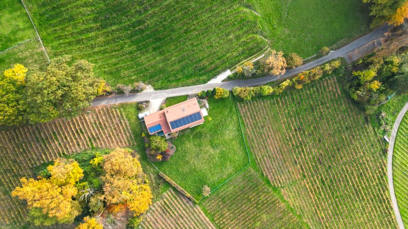LUTRY - UNIQUE ! SOMPTUEUSE VILLA  AU COEUR DES VIGNES (3)
