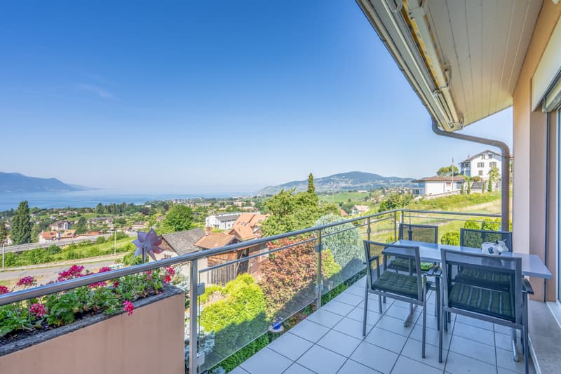RESERVE - MONTREUX - SPACIEUSE VILLA MITOYENNE AVEC VUE PANORAMIQUE (2)