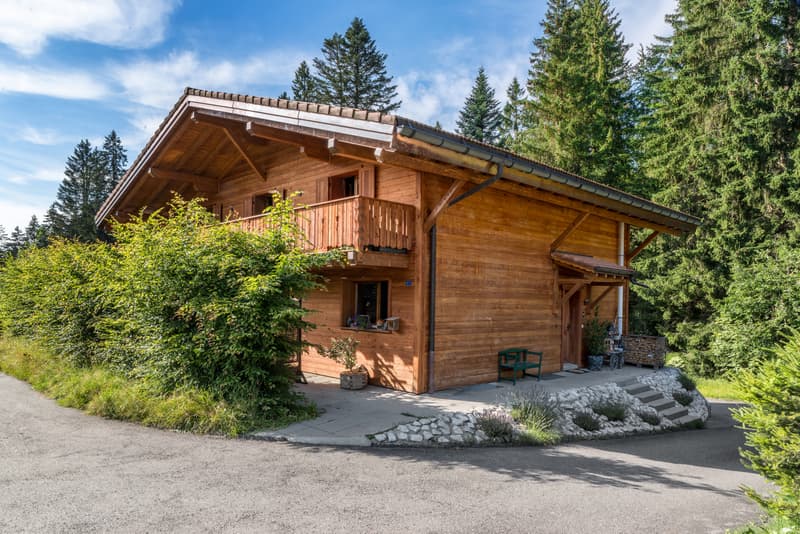 LES PACCOTS - MAGNIFIQUE CHALET DE 7.5 PIECES (3)